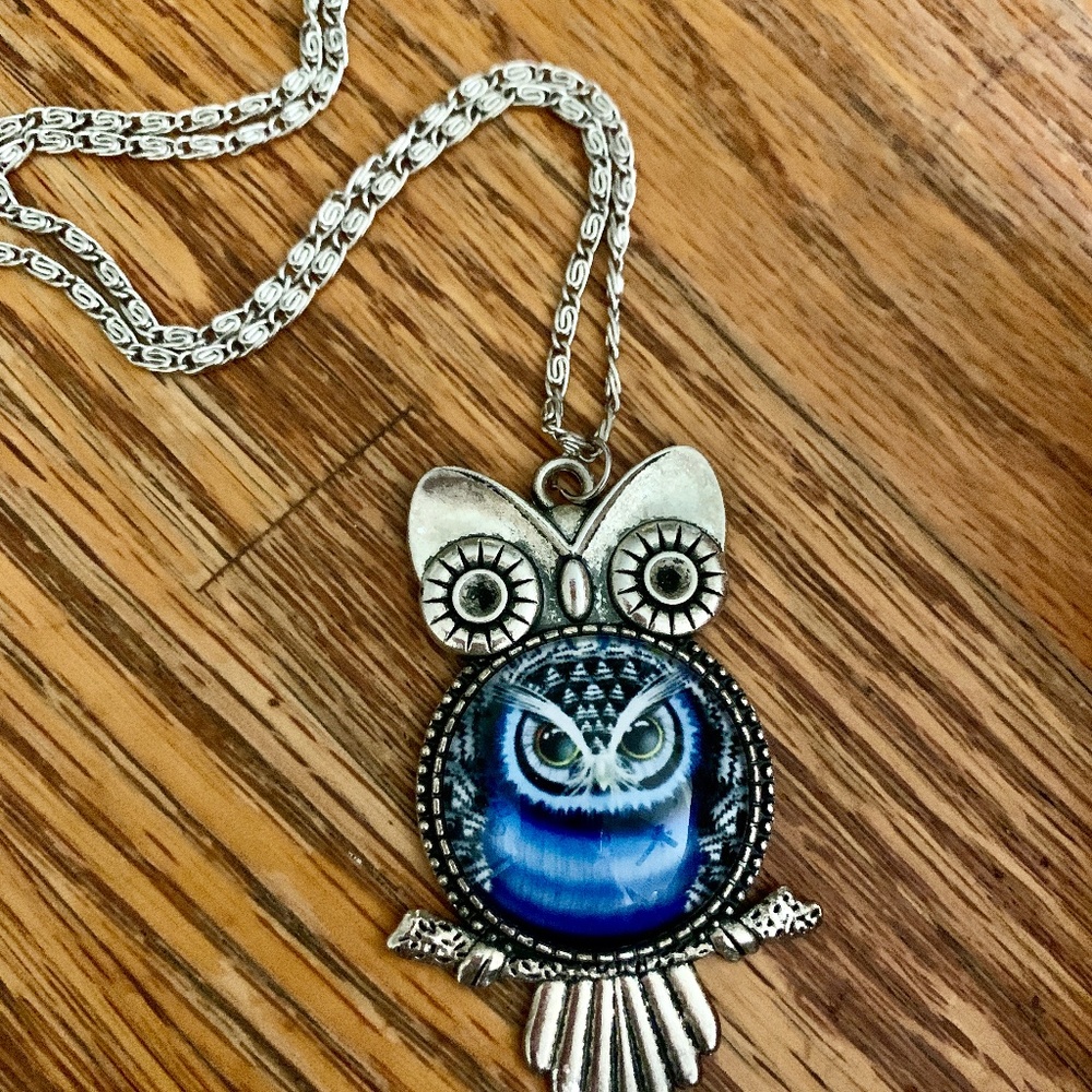 Beautiful OWL - Jelly Belly Owl in Owl Necklace - Blue Owl Necklace - NWO